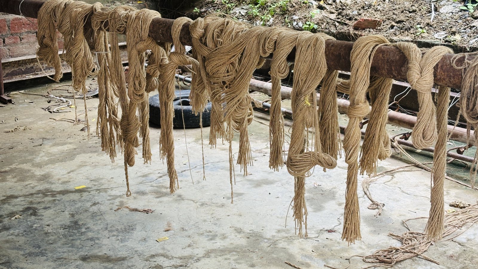 Dyed wool drying in the yard