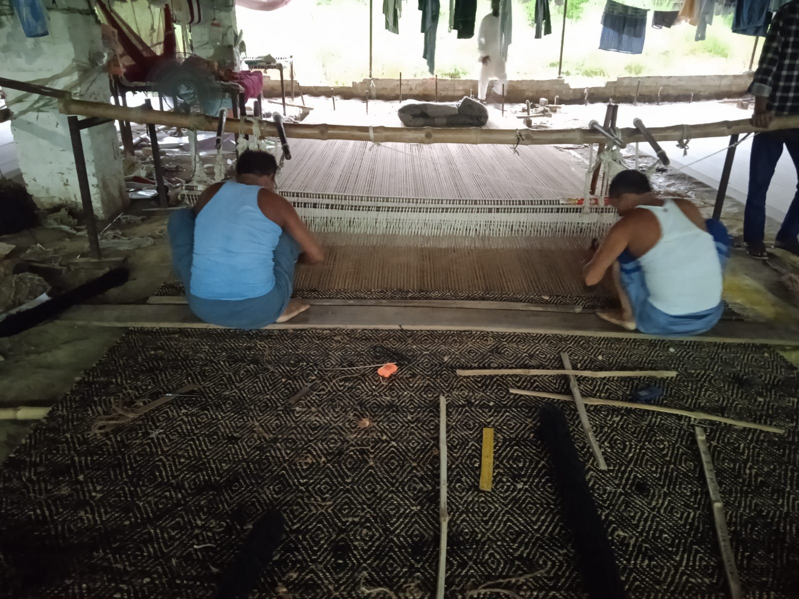 The loom